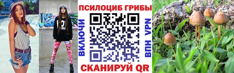 наркотики  Комсомольск  KRAKEN маркетплейс  Псилоцибиновые грибы прущие грибы 